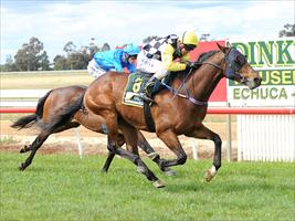 O'Brien out for Blueblood trifecta